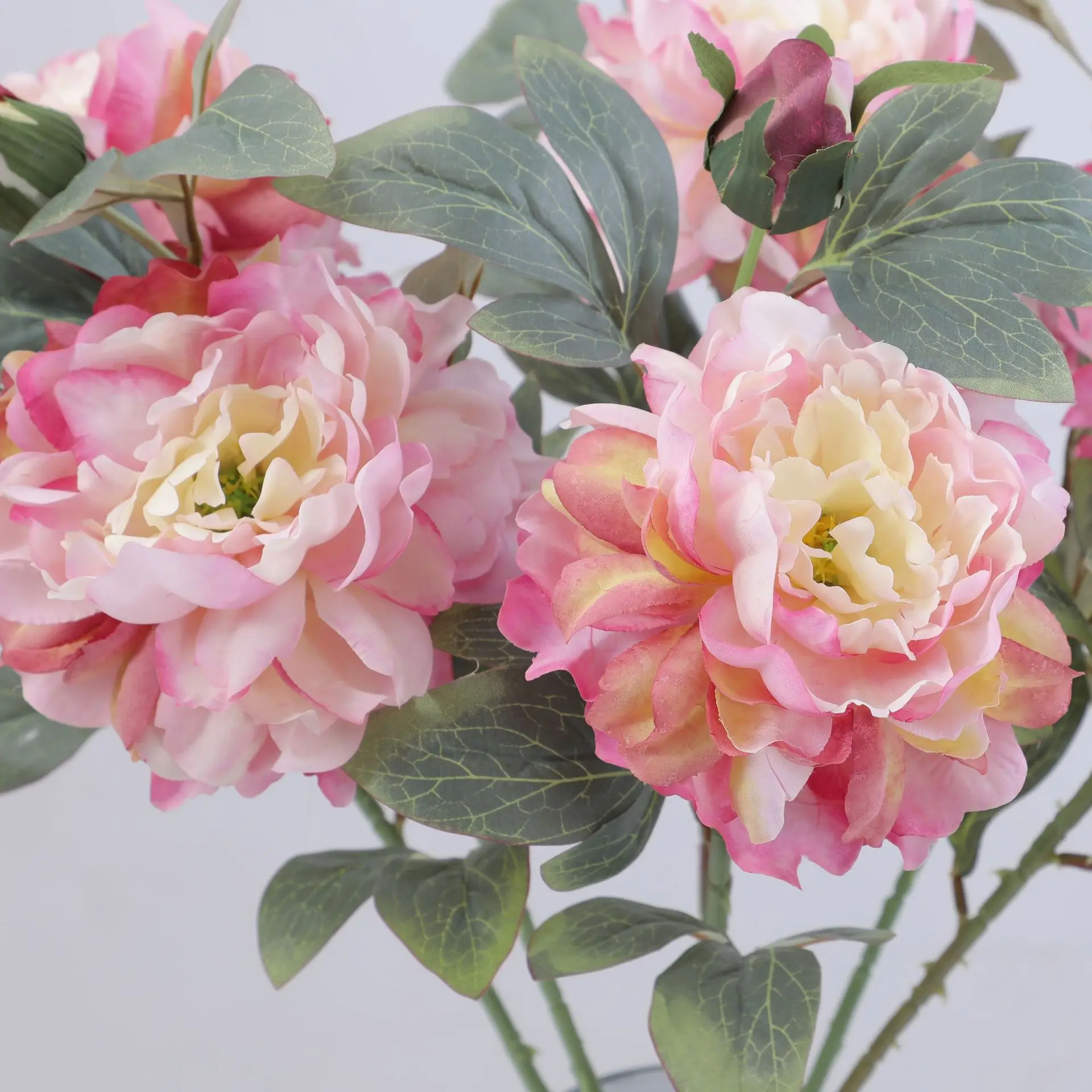 Artificial Peony Flower Single - Flower Wall Panel recensie en prijs