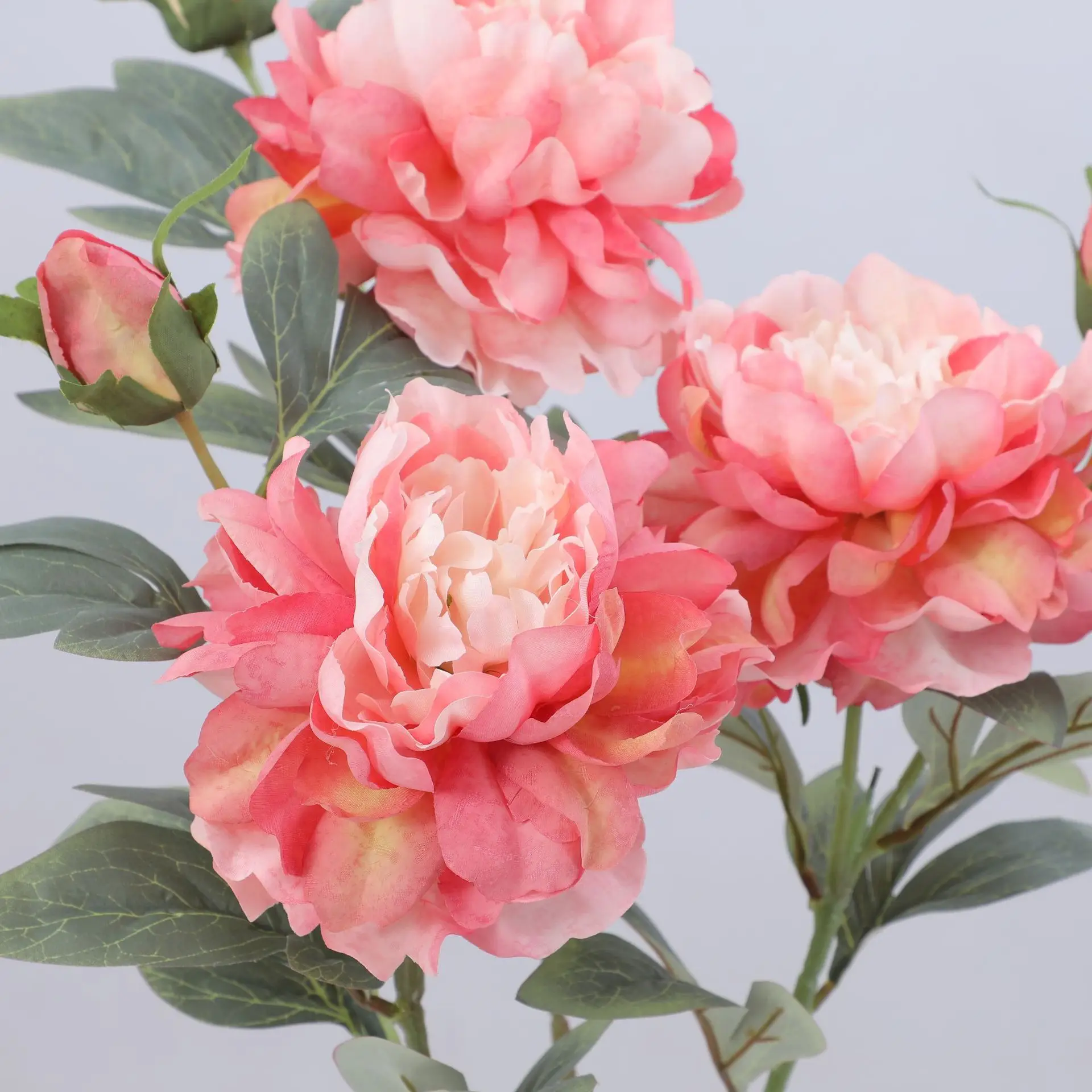 Artificial Peony Flower Single - Flower Wall Panel recensie en prijs