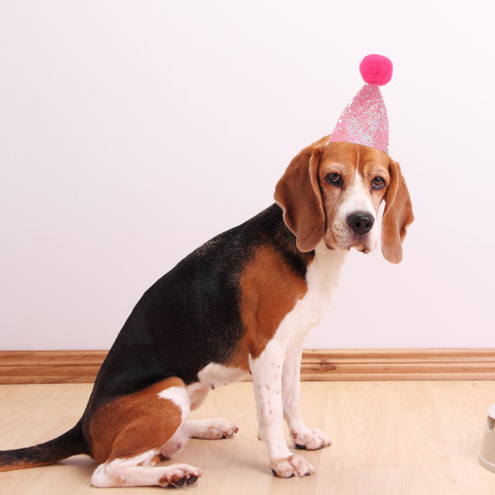 10Pcs Pet Birthday Party Hat f - Party Hat Cone recensie en prijs