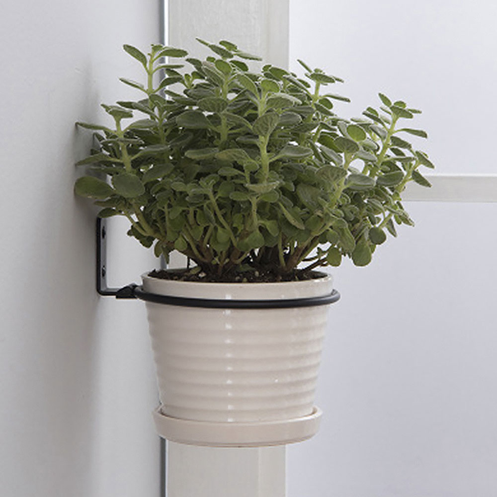 Flower Pot Trays Wall Mounted  - Flower Wall Panel recensie en prijs