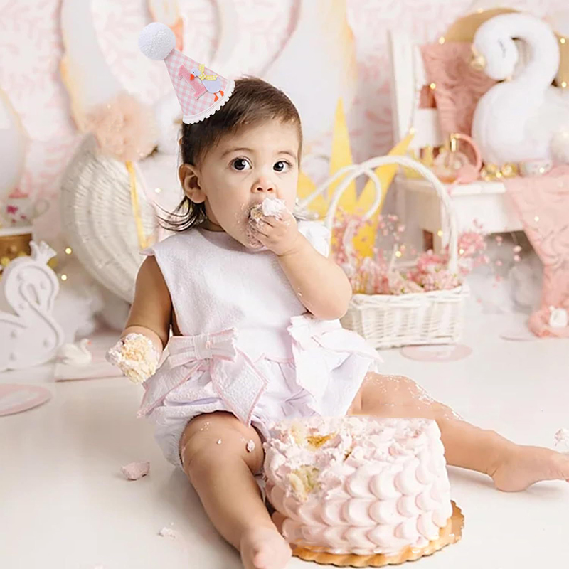 New Goose Birthday Hat Mini He - Party Hat Cone recensie en prijs